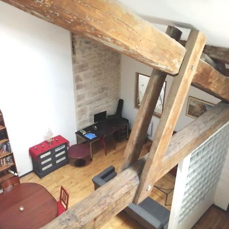 Loft Viarhona, Grand Loft En Centre-Ville リヨン エクステリア 写真