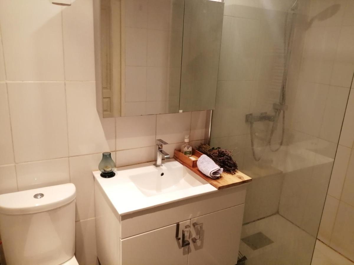Loft Viarhona, Grand Loft En Centre-Ville リヨン エクステリア 写真