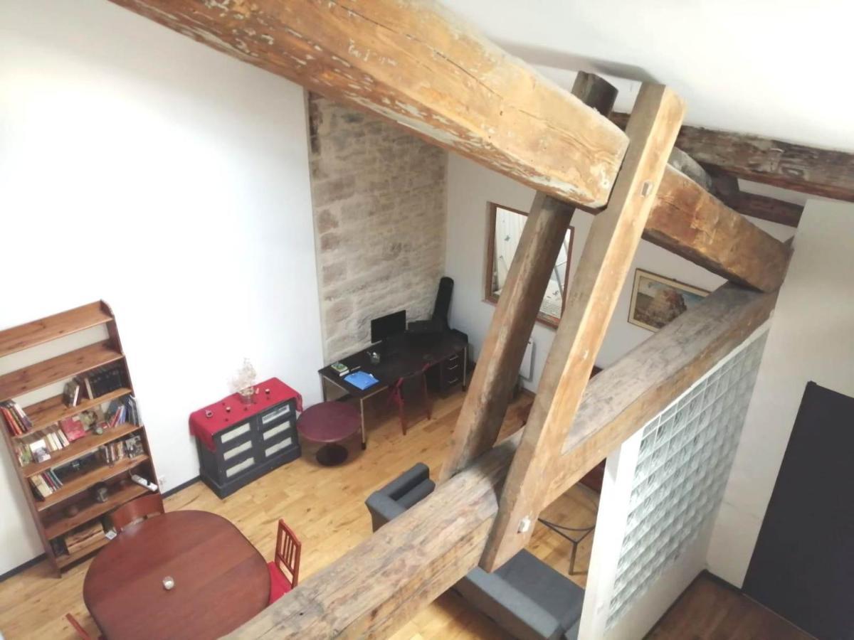 Loft Viarhona, Grand Loft En Centre-Ville リヨン エクステリア 写真