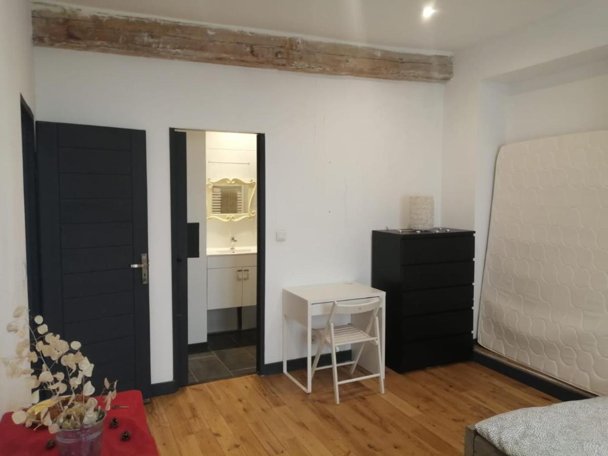 Loft Viarhona, Grand Loft En Centre-Ville リヨン エクステリア 写真
