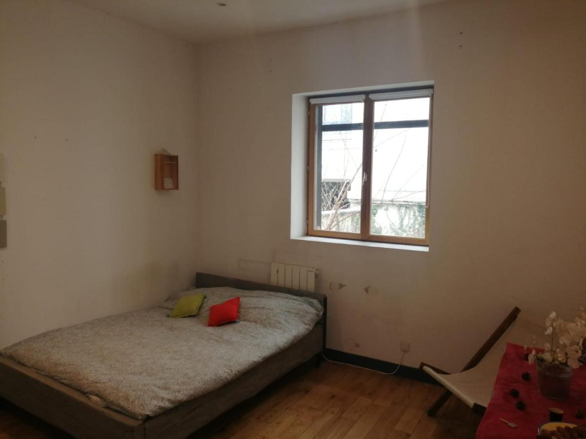 Loft Viarhona, Grand Loft En Centre-Ville リヨン エクステリア 写真