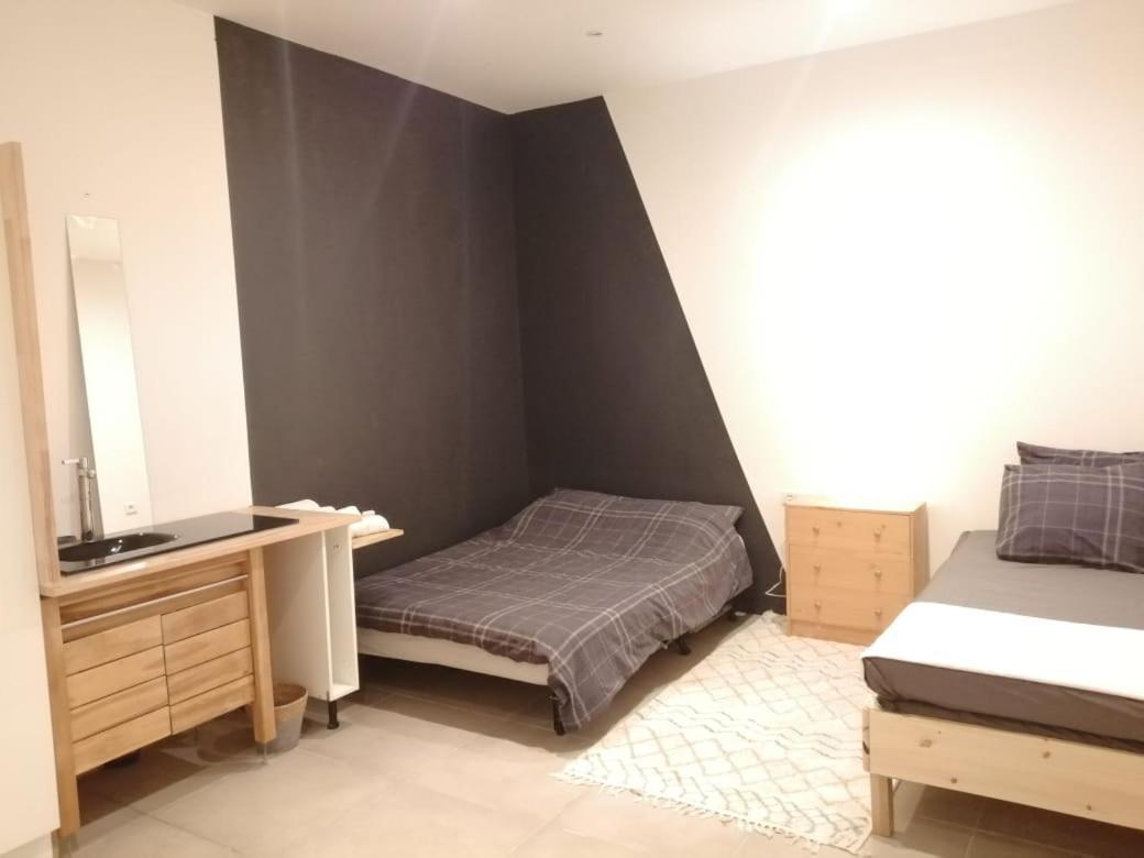 Loft Viarhona, Grand Loft En Centre-Ville リヨン エクステリア 写真