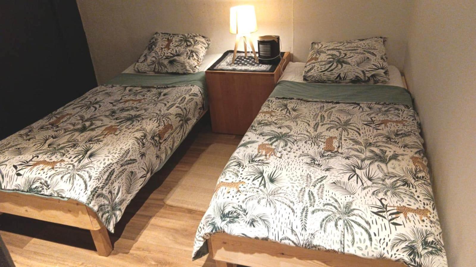 Loft Viarhona, Grand Loft En Centre-Ville リヨン エクステリア 写真